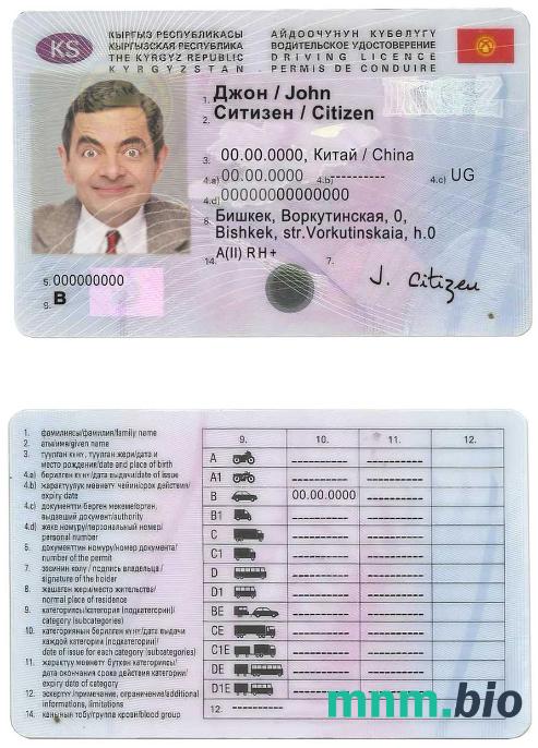 Szablon prawa jazdy w Kirgistanie w formacie PSD, ze wszystkimi czcionkami
